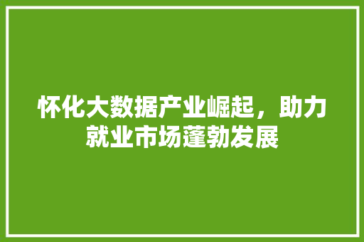 怀化大数据产业崛起，助力就业市场蓬勃发展