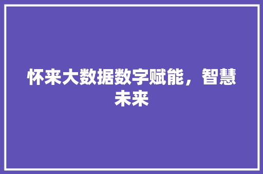 怀来大数据数字赋能，智慧未来