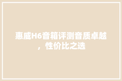 惠威H6音箱评测音质卓越，性价比之选