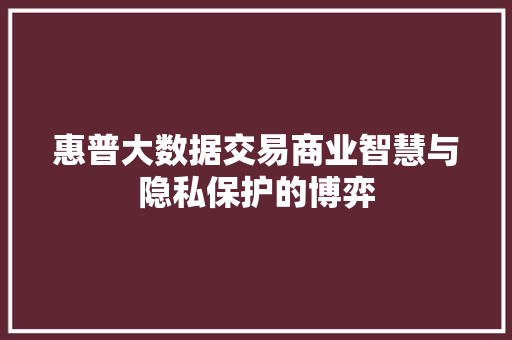 惠普大数据交易商业智慧与隐私保护的博弈