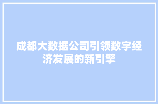 成都大数据公司引领数字经济发展的新引擎
