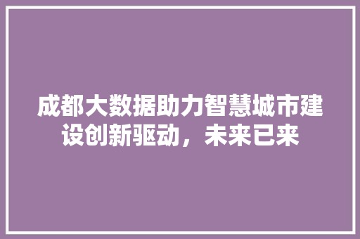 成都大数据助力智慧城市建设创新驱动，未来已来