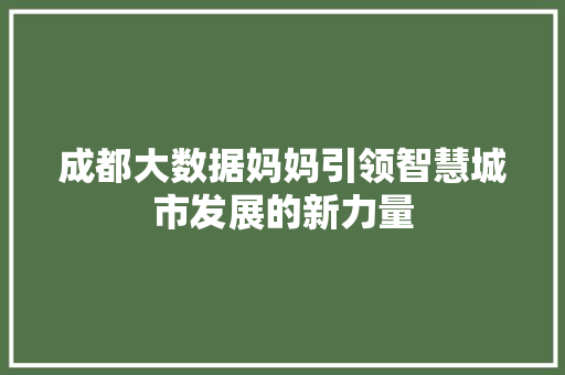 成都大数据妈妈引领智慧城市发展的新力量
