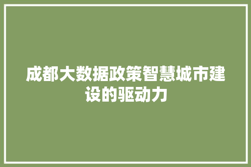 成都大数据政策智慧城市建设的驱动力