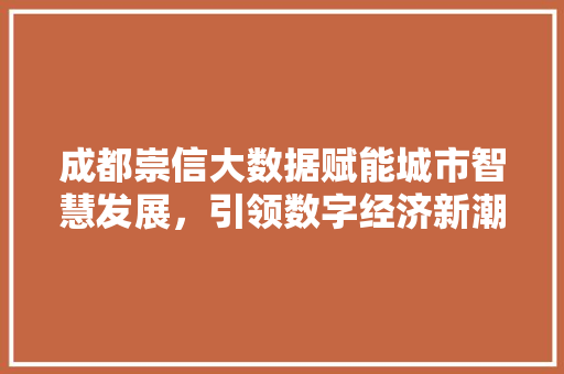 成都崇信大数据赋能城市智慧发展，引领数字经济新潮流