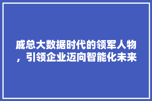 戚总大数据时代的领军人物，引领企业迈向智能化未来
