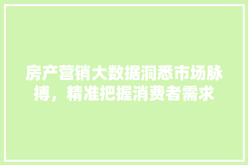 房产营销大数据洞悉市场脉搏，精准把握消费者需求
