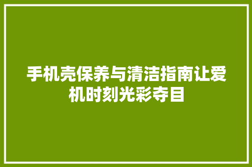 手机壳保养与清洁指南让爱机时刻光彩夺目