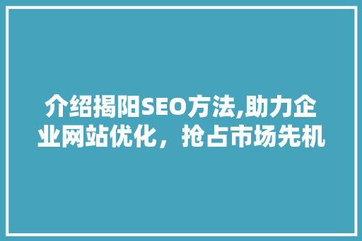 介绍揭阳SEO方法,助力企业网站优化，抢占市场先机 项目报告