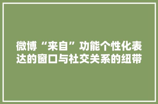微博“来自”功能个性化表达的窗口与社交关系的纽带