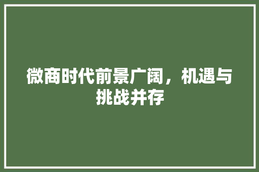 微商时代前景广阔，机遇与挑战并存