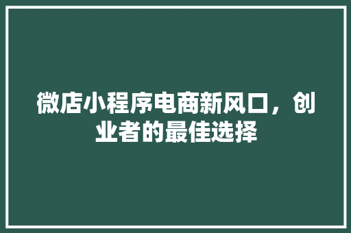 微店小程序电商新风口，创业者的最佳选择