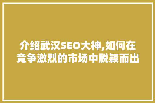 介绍武汉SEO大神,如何在竞争激烈的市场中脱颖而出 前端技术