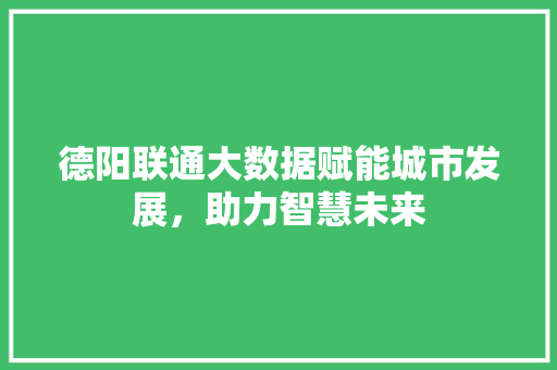 德阳联通大数据赋能城市发展，助力智慧未来