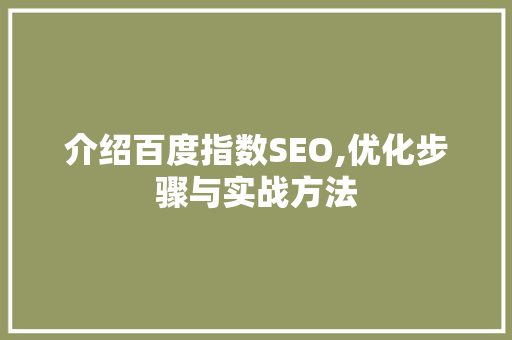介绍百度指数SEO,优化步骤与实战方法 项目报告