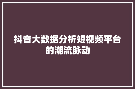 抖音大数据分析短视频平台的潮流脉动