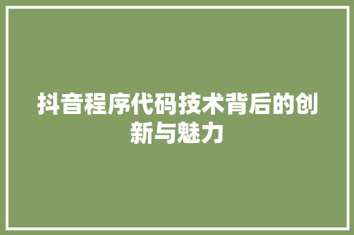 抖音程序代码技术背后的创新与魅力