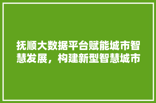 抚顺大数据平台赋能城市智慧发展，构建新型智慧城市格局