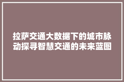 拉萨交通大数据下的城市脉动探寻智慧交通的未来蓝图