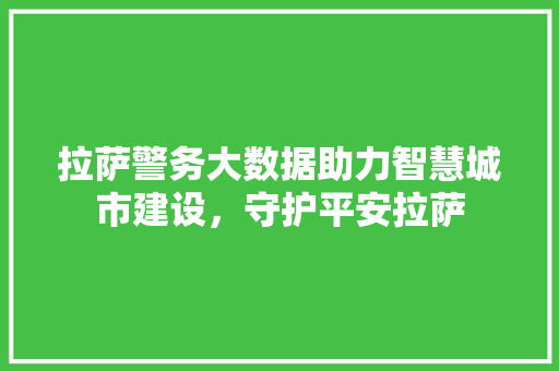 拉萨警务大数据助力智慧城市建设，守护平安拉萨