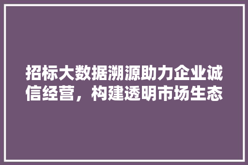 招标大数据溯源助力企业诚信经营，构建透明市场生态