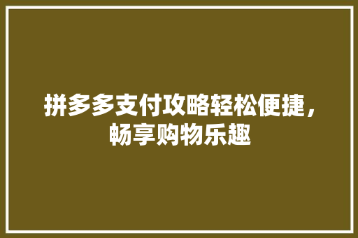拼多多支付攻略轻松便捷，畅享购物乐趣