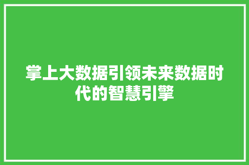 掌上大数据引领未来数据时代的智慧引擎