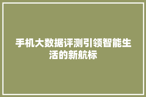 手机大数据评测引领智能生活的新航标
