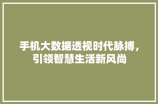 手机大数据透视时代脉搏，引领智慧生活新风尚