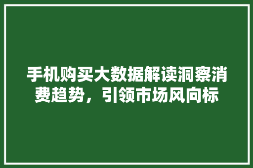 手机购买大数据解读洞察消费趋势，引领市场风向标