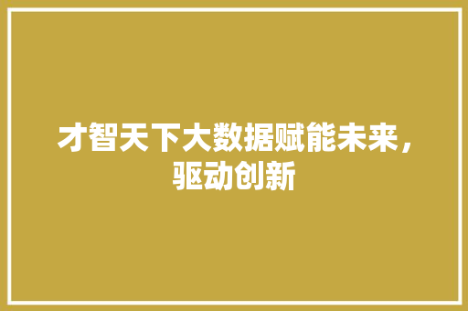 才智天下大数据赋能未来，驱动创新