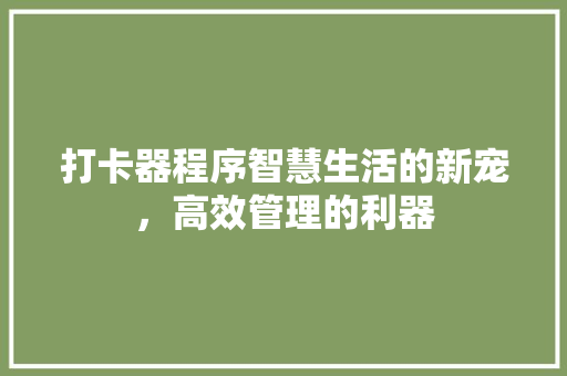打卡器程序智慧生活的新宠，高效管理的利器