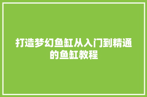 打造梦幻鱼缸从入门到精通的鱼缸教程
