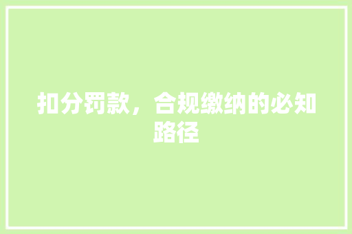扣分罚款，合规缴纳的必知路径