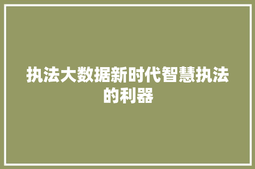 执法大数据新时代智慧执法的利器