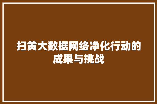 扫黄大数据网络净化行动的成果与挑战