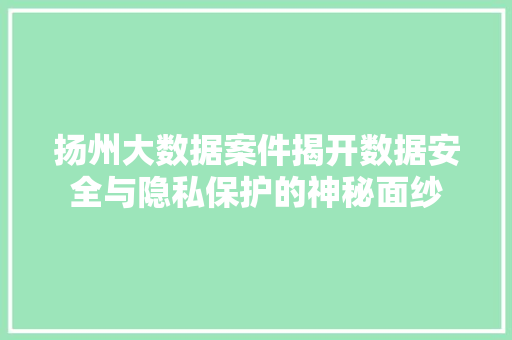 扬州大数据案件揭开数据安全与隐私保护的神秘面纱