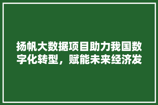 扬帆大数据项目助力我国数字化转型，赋能未来经济发展