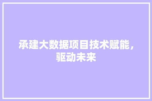 承建大数据项目技术赋能，驱动未来