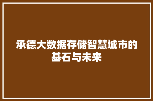 承德大数据存储智慧城市的基石与未来
