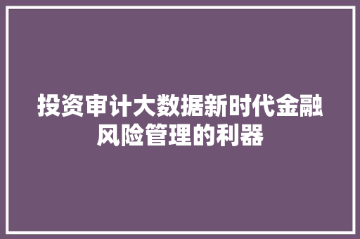 投资审计大数据新时代金融风险管理的利器