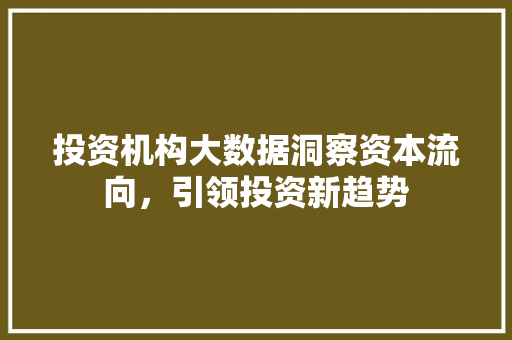 投资机构大数据洞察资本流向，引领投资新趋势