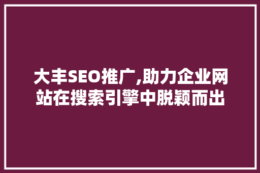 大丰SEO推广,助力企业网站在搜索引擎中脱颖而出