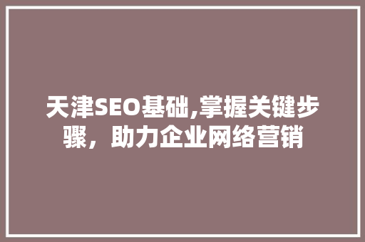 天津SEO基础,掌握关键步骤，助力企业网络营销 前端技术