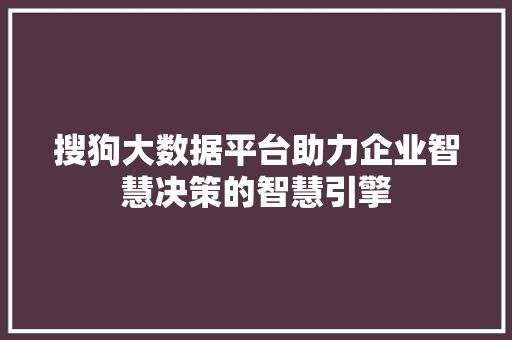 搜狗大数据平台助力企业智慧决策的智慧引擎