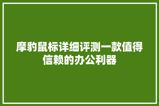摩豹鼠标详细评测一款值得信赖的办公利器