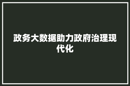 政务大数据助力政府治理现代化