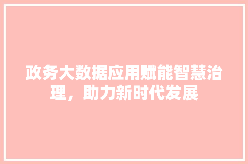 政务大数据应用赋能智慧治理，助力新时代发展