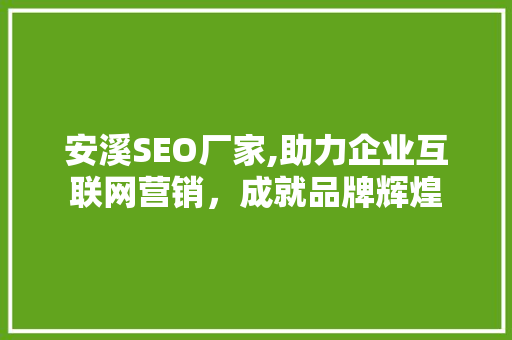 安溪SEO厂家,助力企业互联网营销，成就品牌辉煌 项目报告