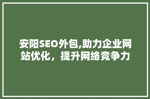 安阳SEO外包,助力企业网站优化，提升网络竞争力 网站建设